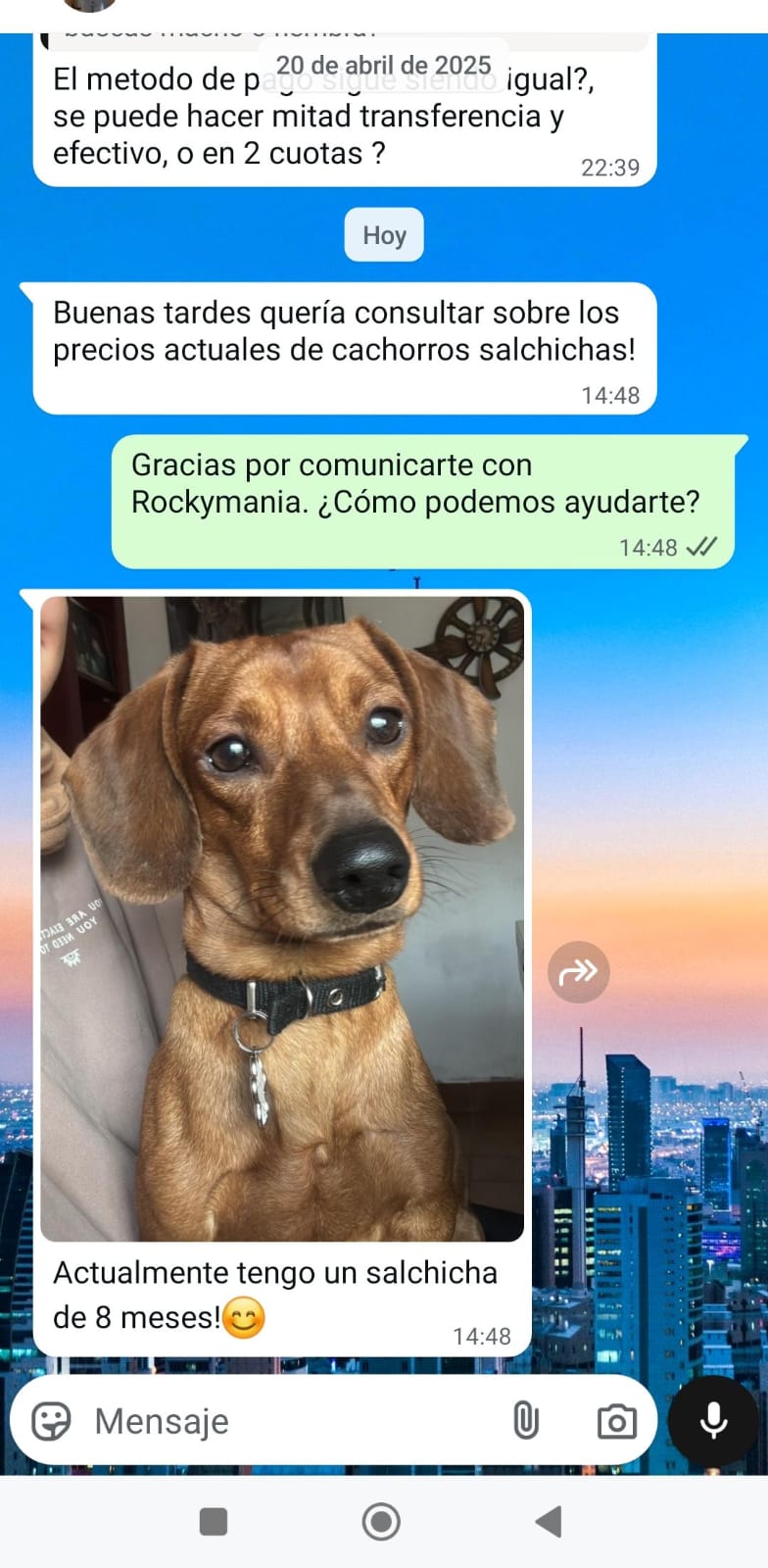 Historia de adopción 9