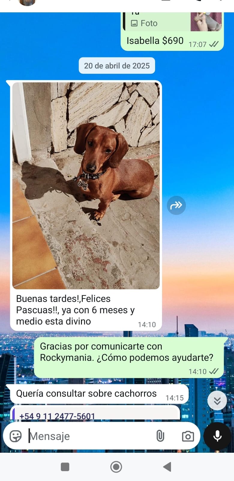 Historia de adopción 10