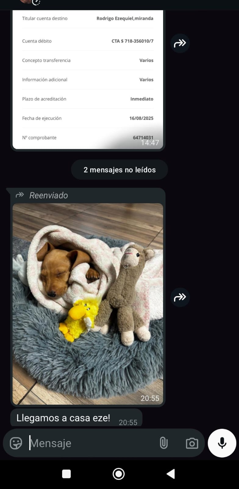 Historia de adopción 11