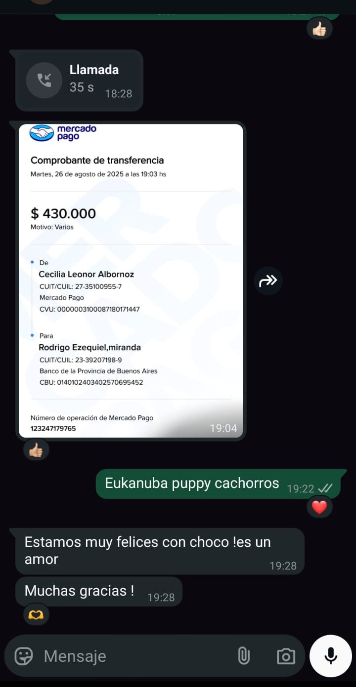 Historia de adopción 12