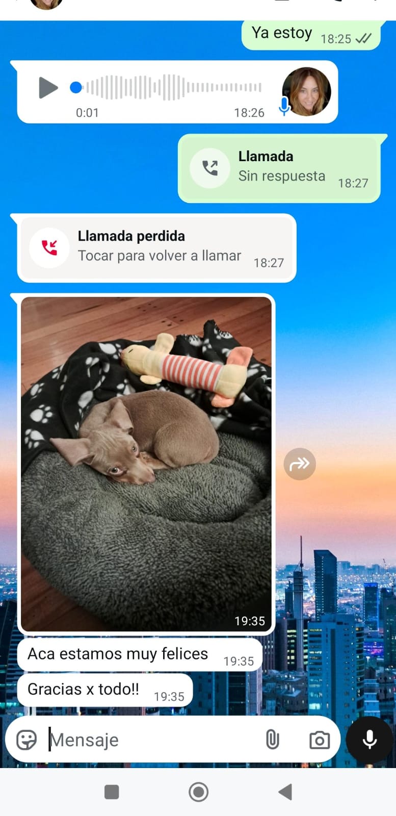 Historia de adopción 5